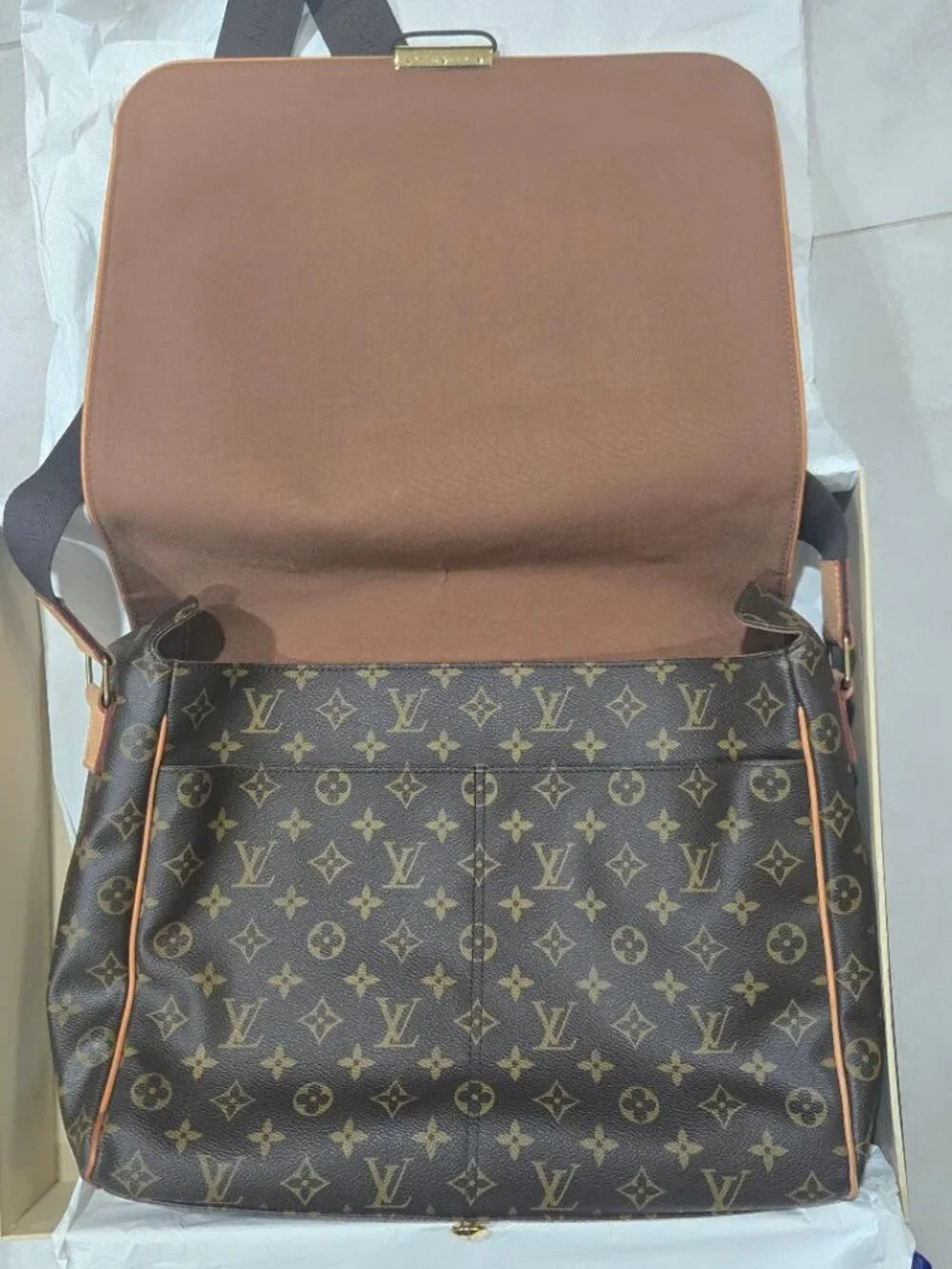 Louis Vuitton this laptop